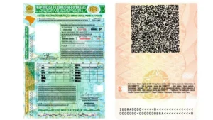 CNH Popular x CNH Social x&hellip;